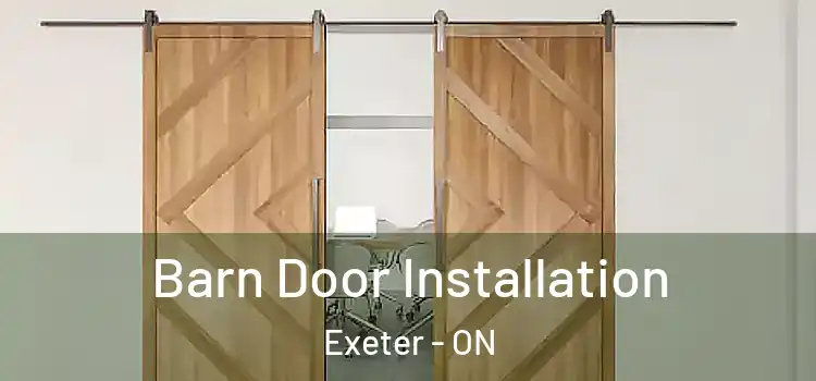 Barn Door Installation Exeter - ON