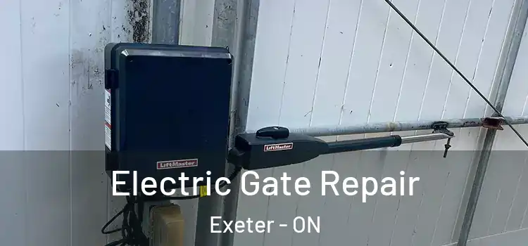 Electric Gate Repair Exeter - ON