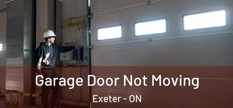  Garage Door Not Moving Exeter - ON