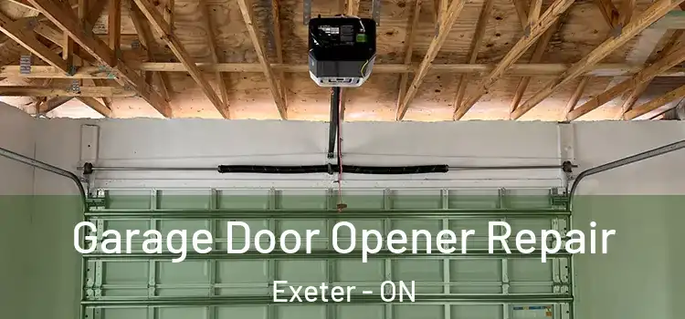  Garage Door Opener Repair Exeter - ON