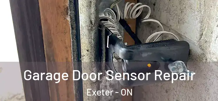  Garage Door Sensor Repair Exeter - ON