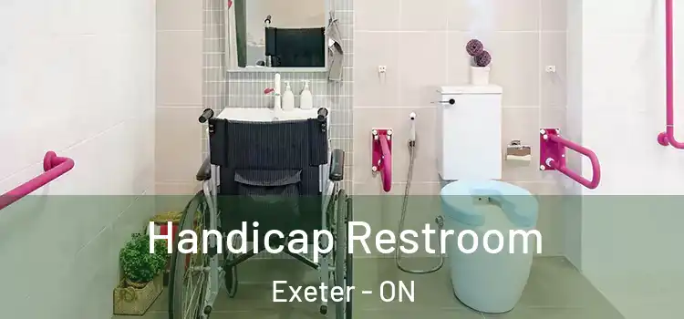 Handicap Restroom Exeter - ON