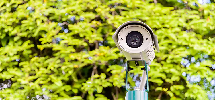Advanced Surveillance Solutions for Every Need in Exeter