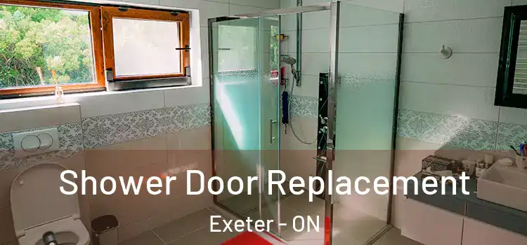 Shower Door Replacement Exeter - ON