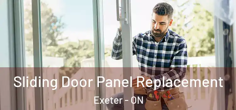  Sliding Door Panel Replacement Exeter - ON