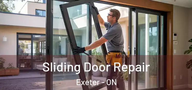  Sliding Door Repair Exeter - ON